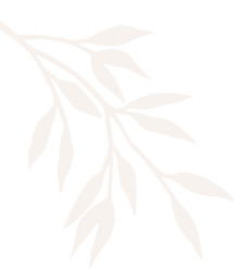 Shodol spa and beauty salon