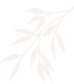 Shodol spa and beauty salon