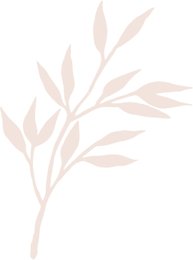 Shodol spa and beauty salon