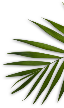 Shodol spa and beauty salon